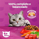Ração Whiskas Gatos Adultos Carne 900 g