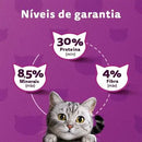 Ração Whiskas Gatos Adultos Frango 900 g