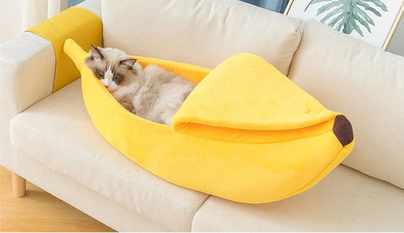 Cama Banana Pulo du Gato