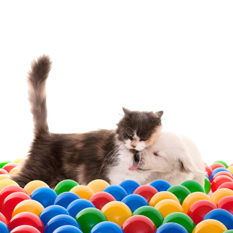 Bolas de Brinquedo para Pets 100 unidades