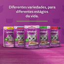Ração Úmida Whiskas Sachê Carne ao Molho Gatos Adultos 85g