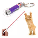 Laser Pet 3 em 1 Pulo du Gato