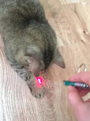 Laser Pet 3 em 1 Pulo du Gato