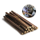 Vara Catnip Matatabi Limpa Dentes