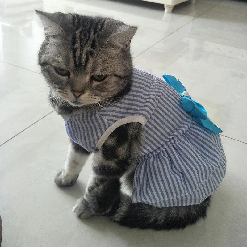 Vestidinho de Princesa Para Gatos - Pulo Du Gato