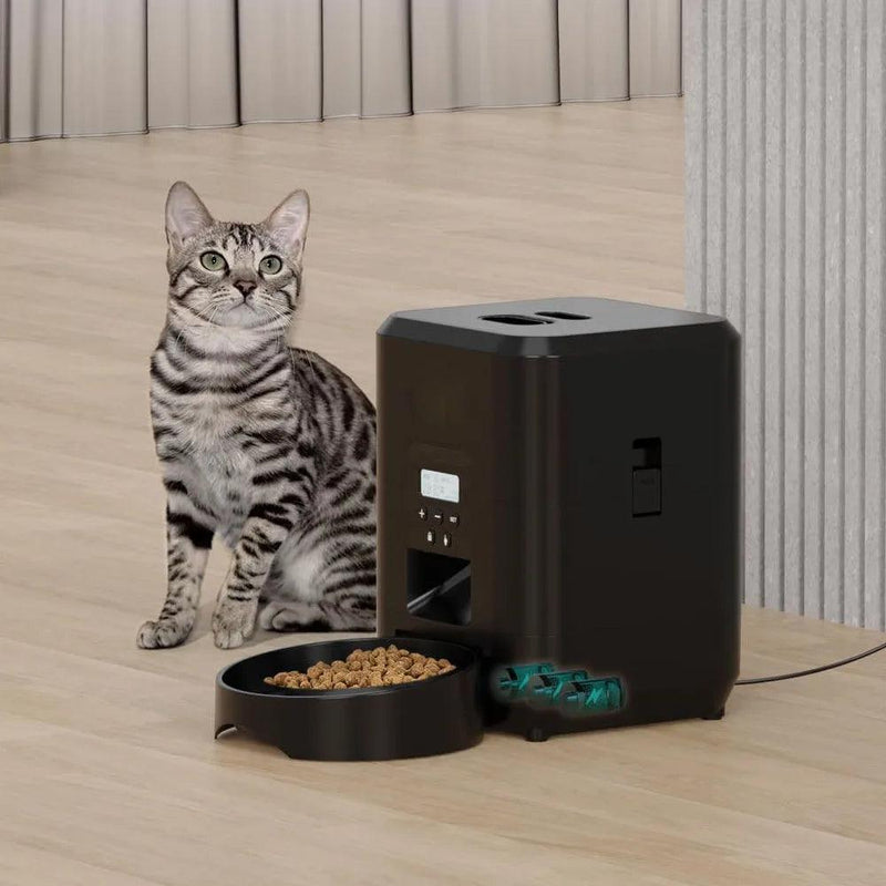 Alimentador Automático para Gato Com Gravação de Voz 2L - Pulo Du Gato