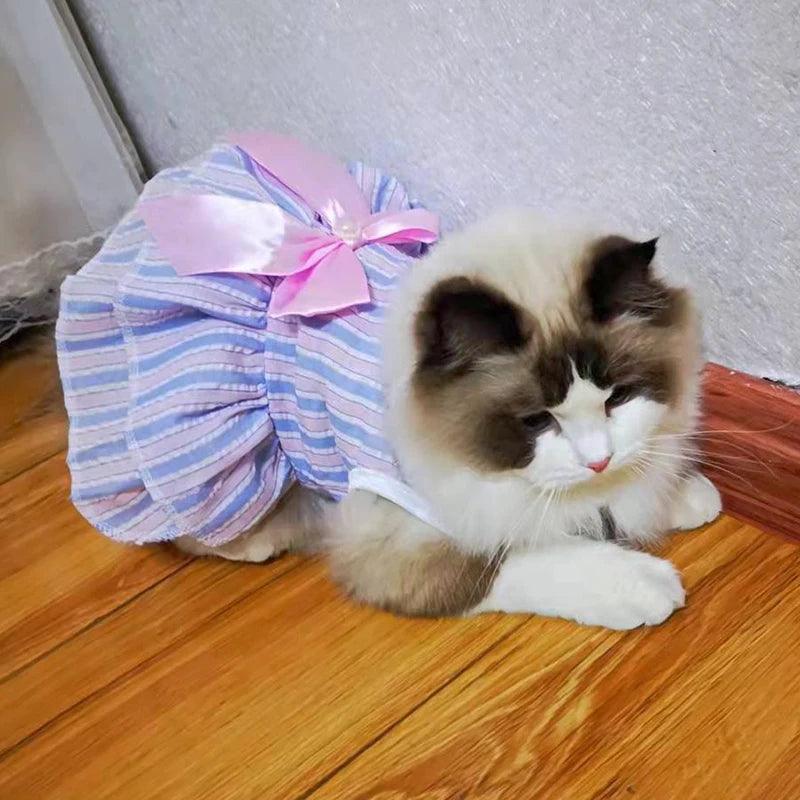 Vestidinho de Princesa Para Gatos - Pulo Du Gato