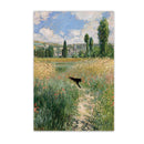 48414283792703|48414283825471|48414284153151|48414284218687