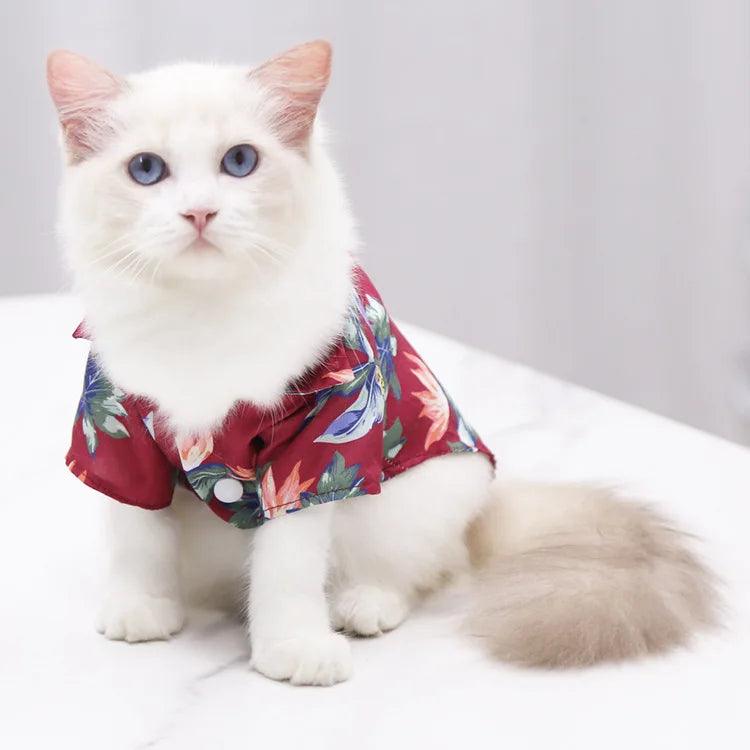 Camiseta Estilo Praia Havaiana para Gatos - Pulo Du Gato