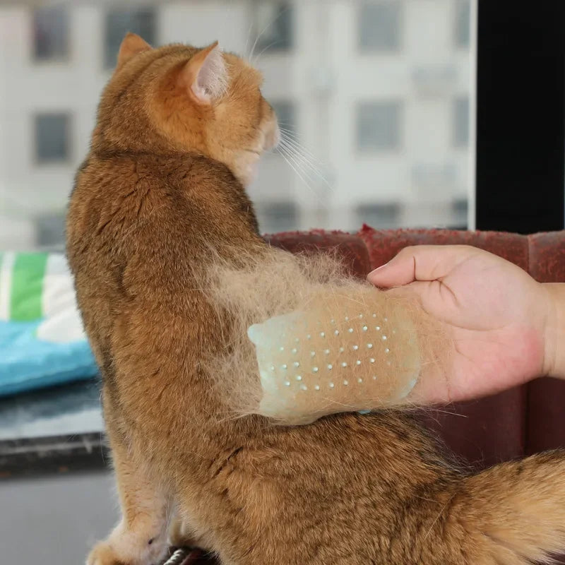 Escova Fixação Massageadora e Removedora de Pelos - Pulo Du Gato