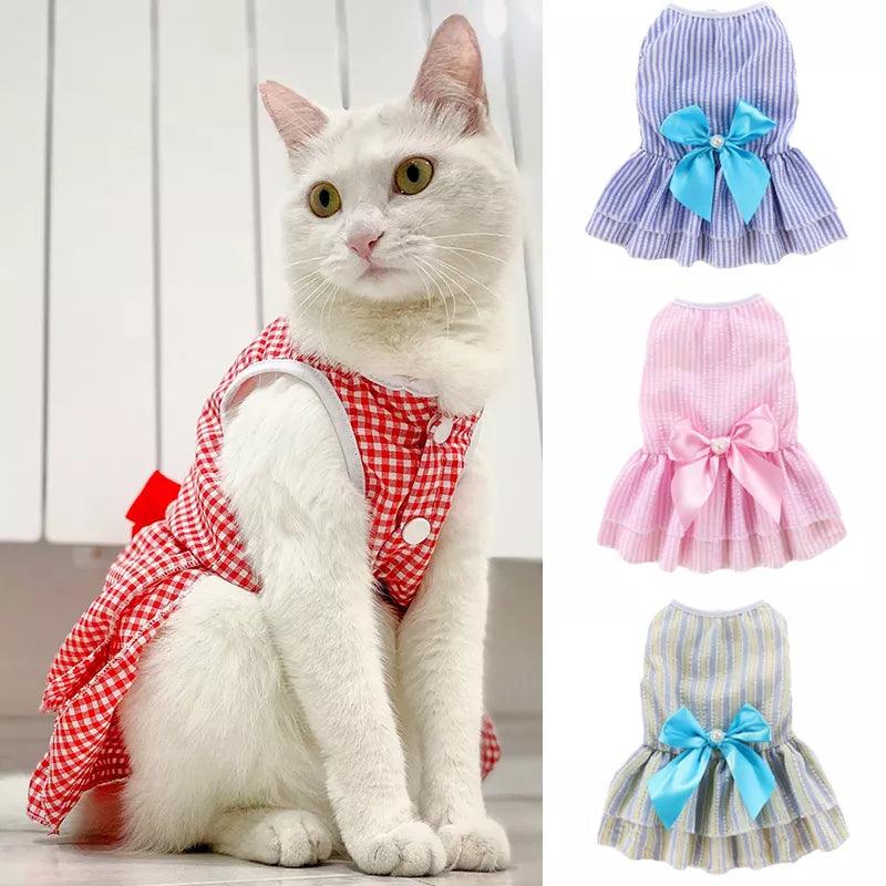 Vestidinho de Princesa Para Gatos - Pulo Du Gato