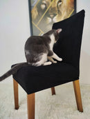 Capa de Cadeira À Prova de Garras Pulo Du Gato