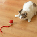 Brinquedo Bola de Caça Eletrônica Pulo du Gato