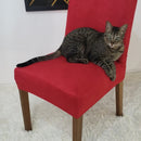 Capa de Cadeira À Prova de Garras Pulo Du Gato