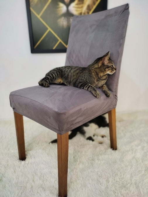 Capa de Cadeira À Prova de Garras Pulo Du Gato