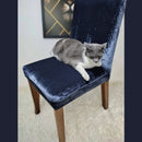 Capa de Cadeira À Prova de Garras Pulo Du Gato