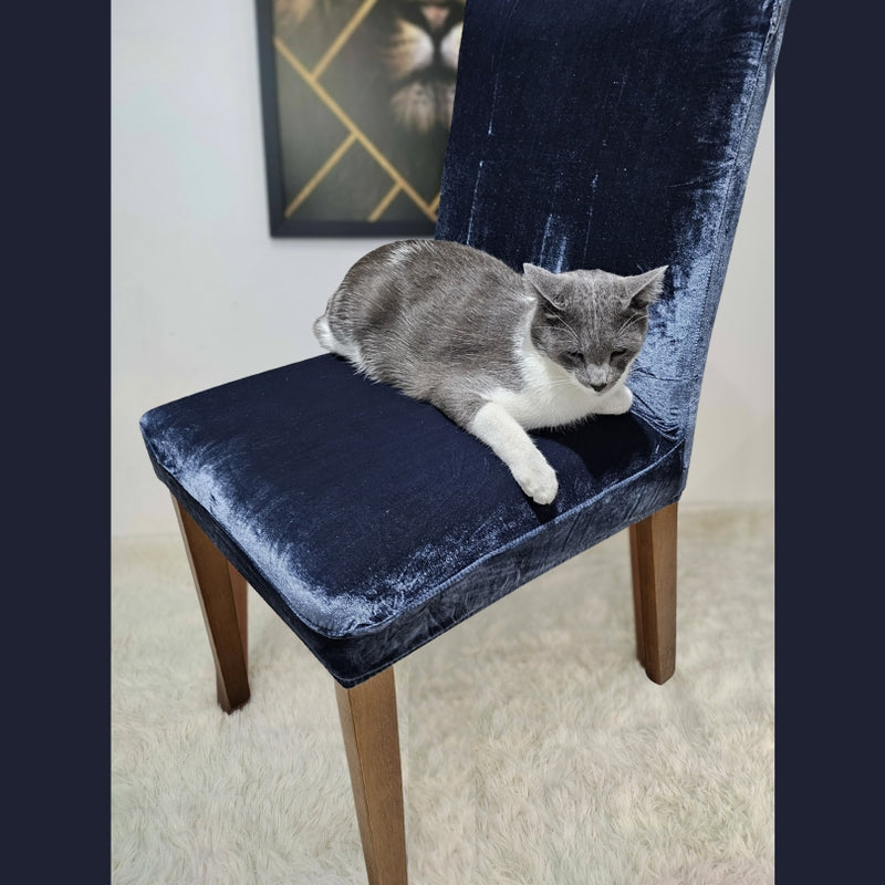 Capa de Cadeira À Prova de Garras Pulo Du Gato