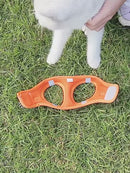 Peitoral Ajustável com Guia