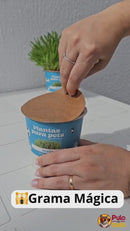 Grama Mágica Pulo du Gato