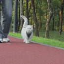 Coleira Colete para Gatos Suporte Placa Identificação