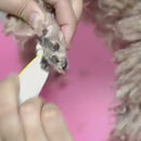 Aparador de Pelos pata Elétrico LED para pets