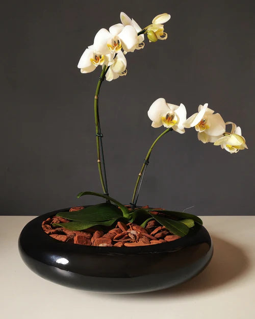 Vaso Ikebana Artesanal Fibra de Vidro