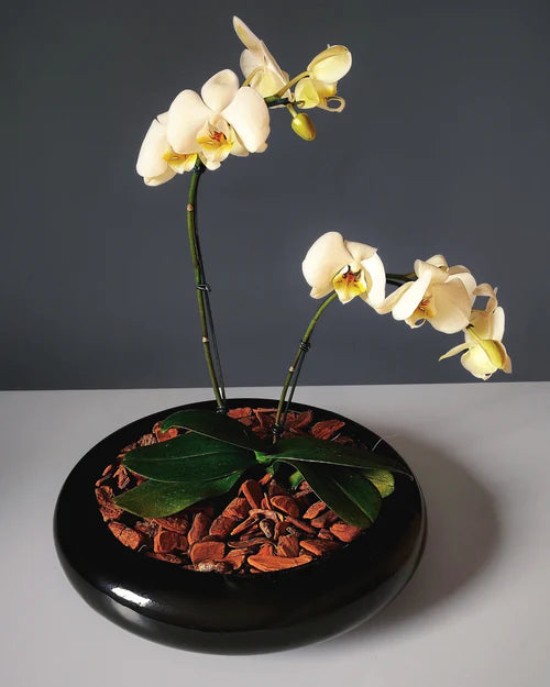 Vaso Ikebana Artesanal Fibra de Vidro